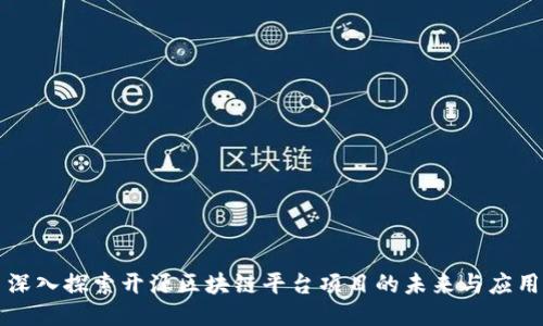 深入探索开源区块链平台项目的未来与应用
