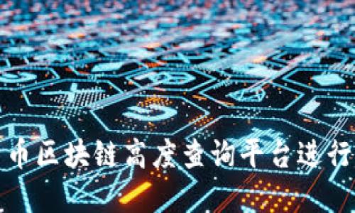 如何使用莱特币区块链高度查询平台进行实时信息查询