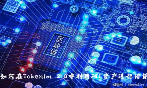 如何在Tokenim 2.0中利用FIL资产进行借贷