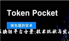 印度区块链平台全景:技术现状与发展趋势