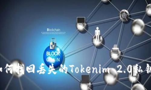 如何找回丢失的Tokenim 2.0私钥？