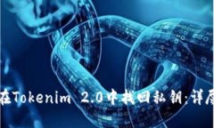 如何在Tokenim 2.0中找回私钥：详尽指南