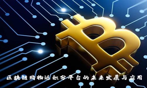 区块链购物返积分平台的未来发展与应用