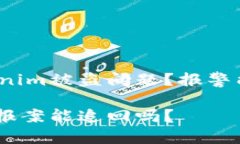 如何处理Tokenim被盗问题？报警能否追回损失？