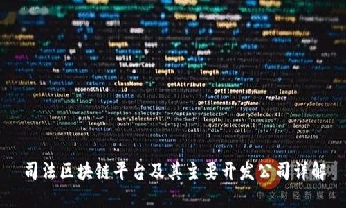司法区块链平台及其主要开发公司详解