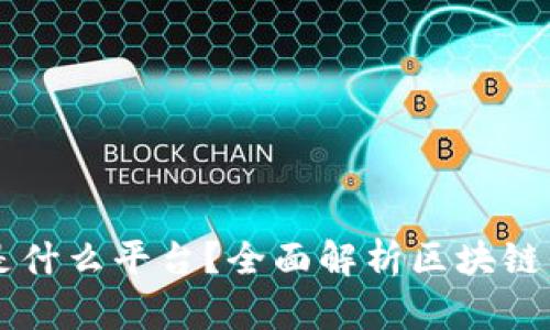 区块链机构指的是什么平台?全面解析区块链平台的类型与功能