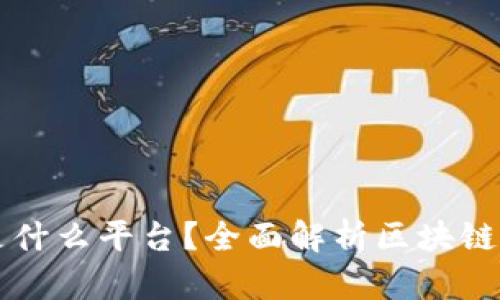 区块链机构指的是什么平台?全面解析区块链平台的类型与功能