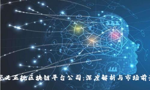 崇义正规区块链平台公司:深度解析与市场前景