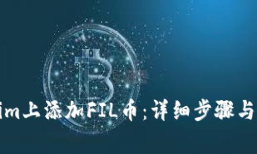 如何在Tokenim上添加FIL币：详细步骤与常见问题解析