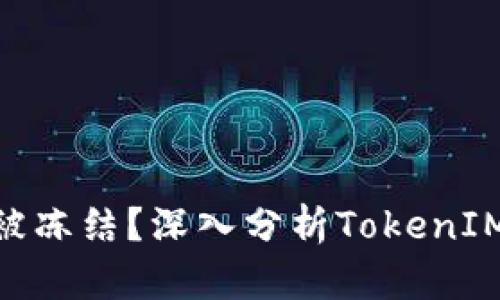 TokenIM会不会被冻结？深入分析TokenIM风险及应对策略