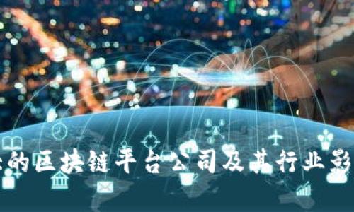 澳洲最大的区块链平台公司及其行业影响力分析