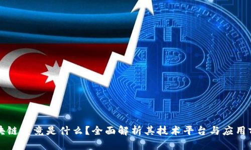 区块链究竟是什么?全面解析其技术平台与应用前景