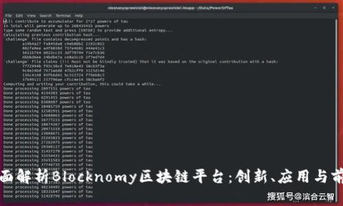 全面解析Blocknomy区块链平台：创新、应用与前景