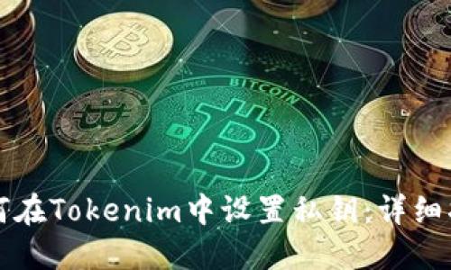 如何在Tokenim中设置私钥：详细指南
