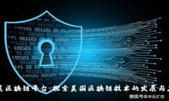 全美区块链平台:探索美国区块链技术的发展与