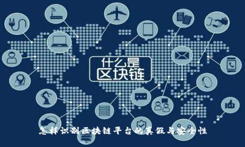 怎样识别区块链平台的真假与安全性