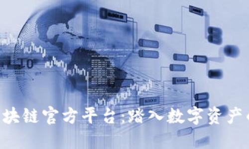 OLC区块链官方平台:踏入数字资产的未来