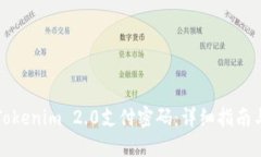 如何找回Tokenim 2.0支付密码：详细指南与解决方案