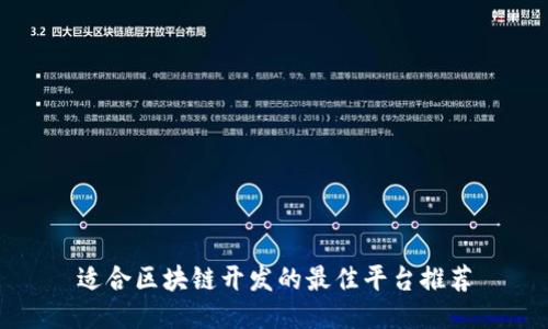适合区块链开发的最佳平台推荐