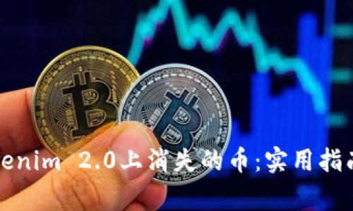 如何找回Tokenim 2.0上消失的币：实用指南与注意事项
