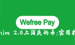 如何找回Tokenim 2.0上消失的币：实用指南与注意事