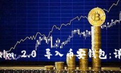 如何将 Tokenim 2.0 导入币安钱包：详细步骤与指南