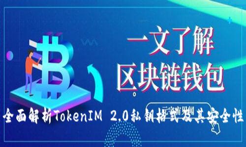 全面解析TokenIM 2.0私钥格式及其安全性