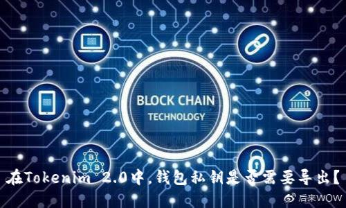 在Tokenim 2.0中，钱包私钥是否需要导出？
