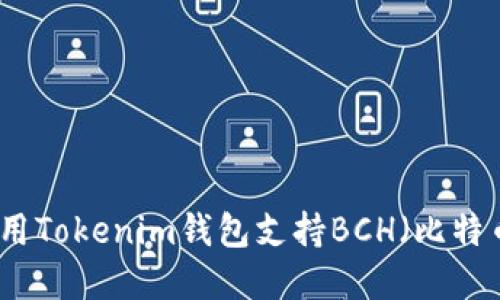 如何使用Tokenim钱包支持BCH（比特币现金）