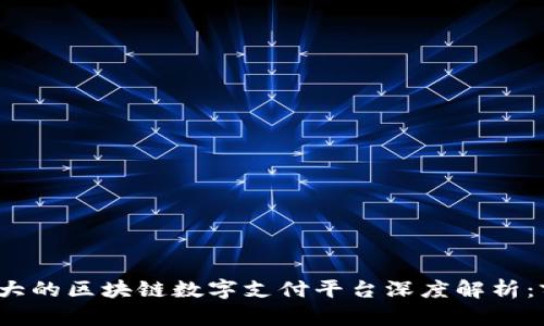 2023年最大的区块链数字支付平台深度解析：前景与挑战