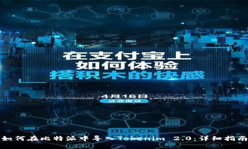 如何在比特派中导入Tokenim 2.0：详细指南