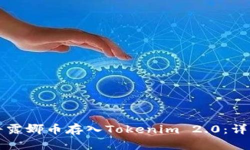 如何将露娜币存入Tokenim 2.0：详细指南