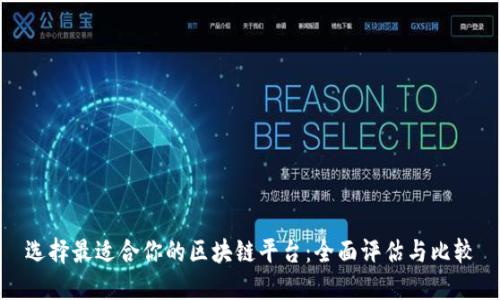 选择最适合你的区块链平台:全面评估与比较