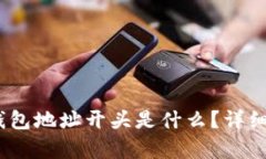 Tokenim 2.0 钱包地址开头是什么？详细解析与使用
