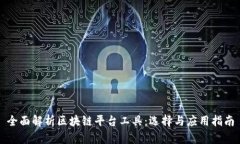 全面解析区块链平台工具：选择与应用指南