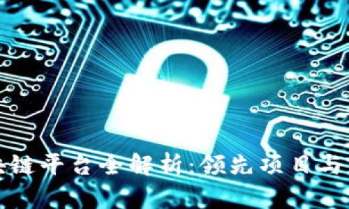 福州区块链平台全解析:领先项目与应用场景