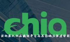 活的最久的区块链平台及其影响力深度分析