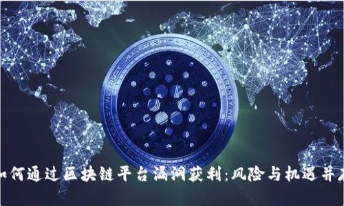 如何通过区块链平台漏洞获利:风险与机遇并存