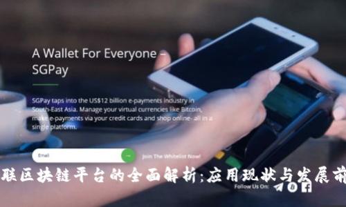 智联区块链平台的全面解析:应用现状与发展前景