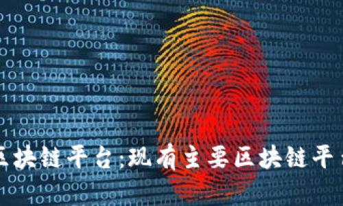 全面解析区块链平台:现有主要区块链平台及其特点