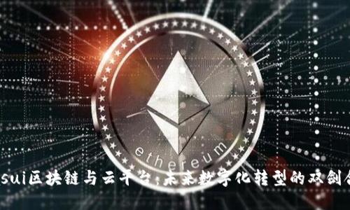biasui区块链与云平台:未来数字化转型的双剑合璧