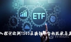 深入探讨欧洲TSOS区块链平台的现状与未来