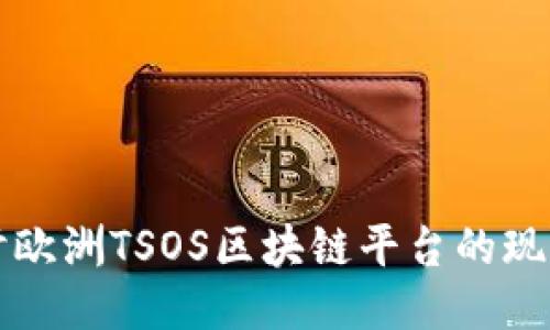 深入探讨欧洲TSOS区块链平台的现状与未来