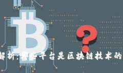全面解析:哪些平台是区块链技术的先锋?