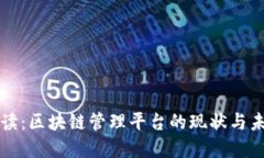综合解读:区块链管理平台的现状与未来发展