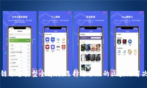 区块链平台类型全解析:选择适合你的区块链解决方案