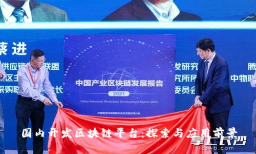 国内开发区块链平台:探索与应用前景