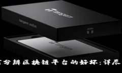 如何分辨区块链平台的好坏:详尽指南