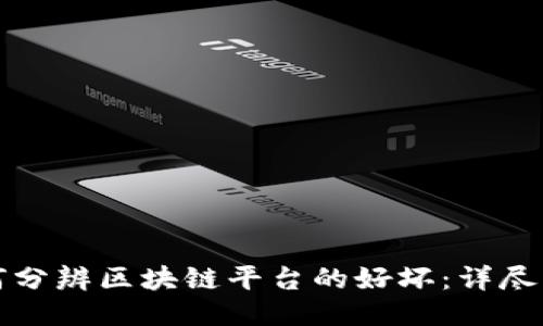 如何分辨区块链平台的好坏:详尽指南