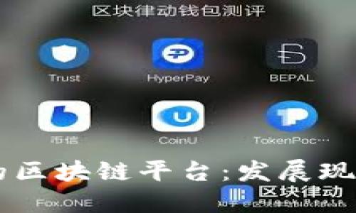 东南亚最大的区块链平台:发展现状与未来展望